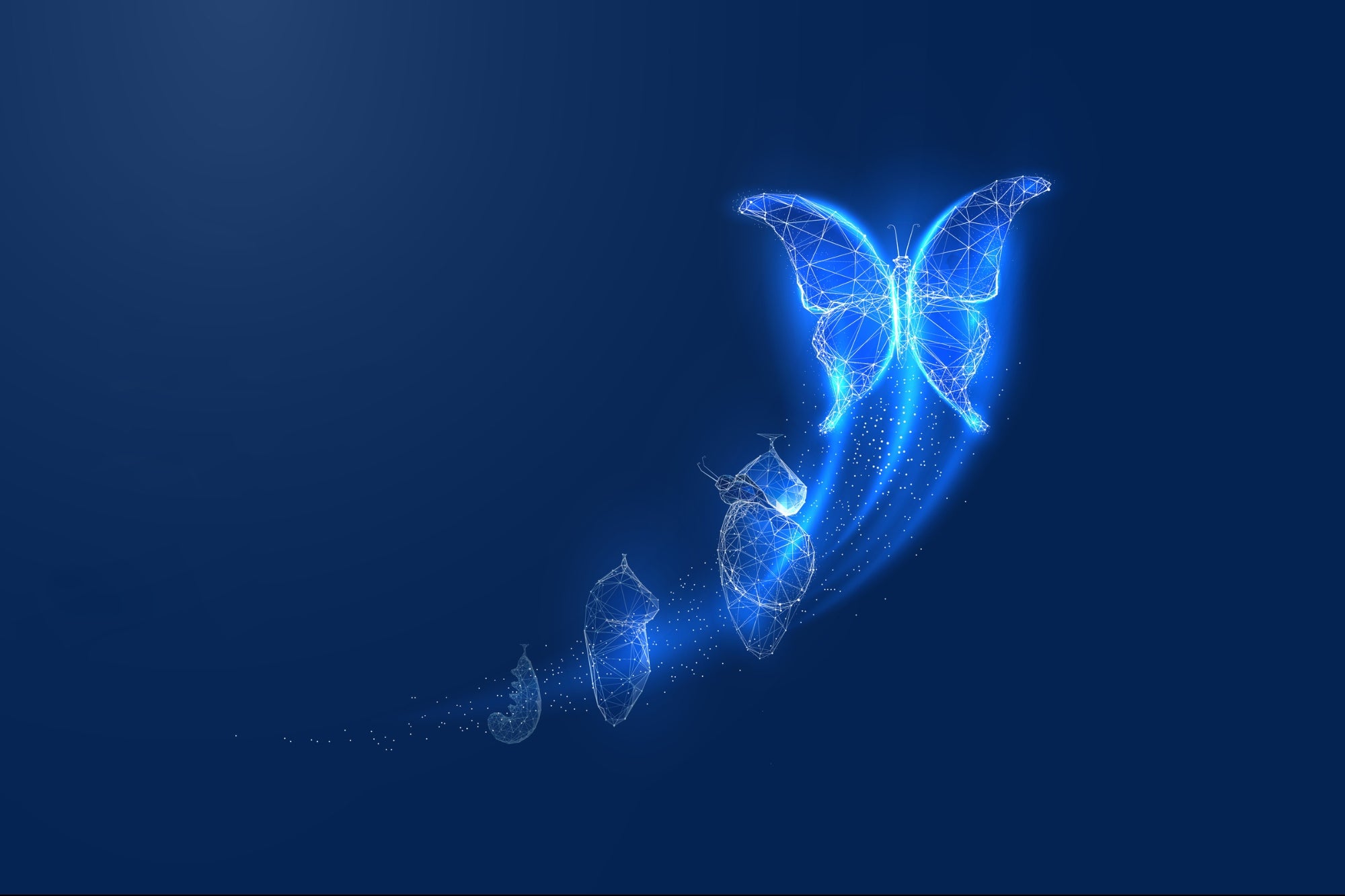 glowing-butterfly-transformation