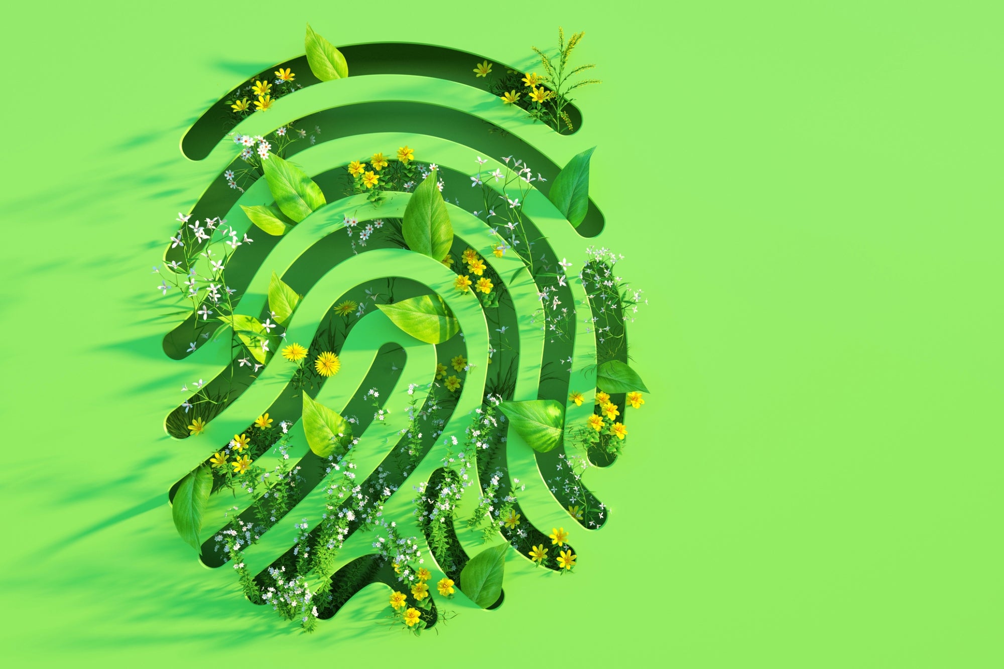 green-plants-finger-print
